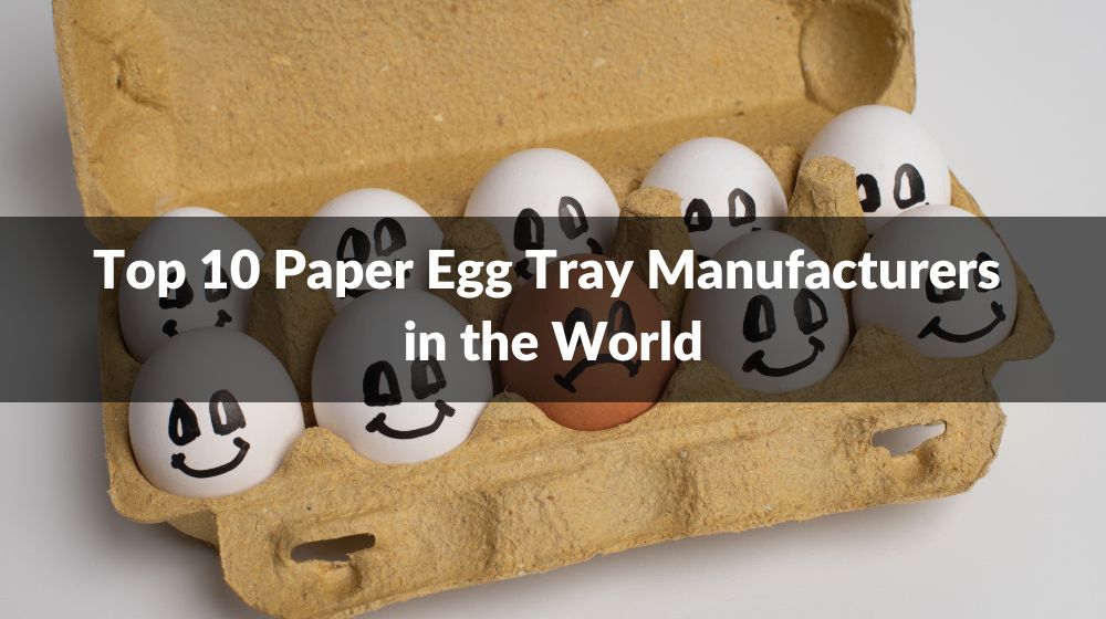 Top 10 Paper Egg Tray Manufacturers in the World 2025