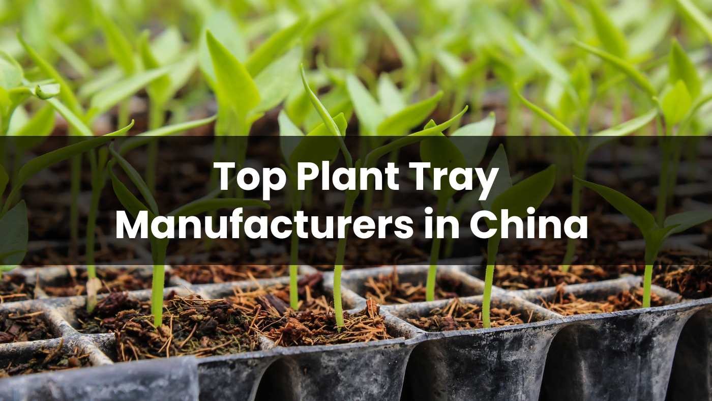 Top 10 Plant Tray Manufacturers in China 2024