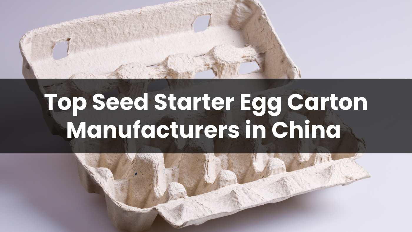 Top 10 Seed Starter Egg Carton Manufacturers in China 2024
