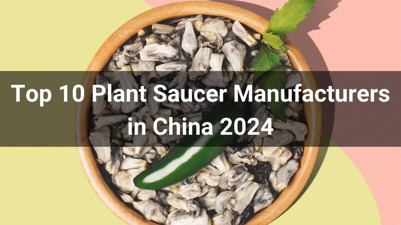 Top 10 Plant Saucer Manufacturers in China 2025