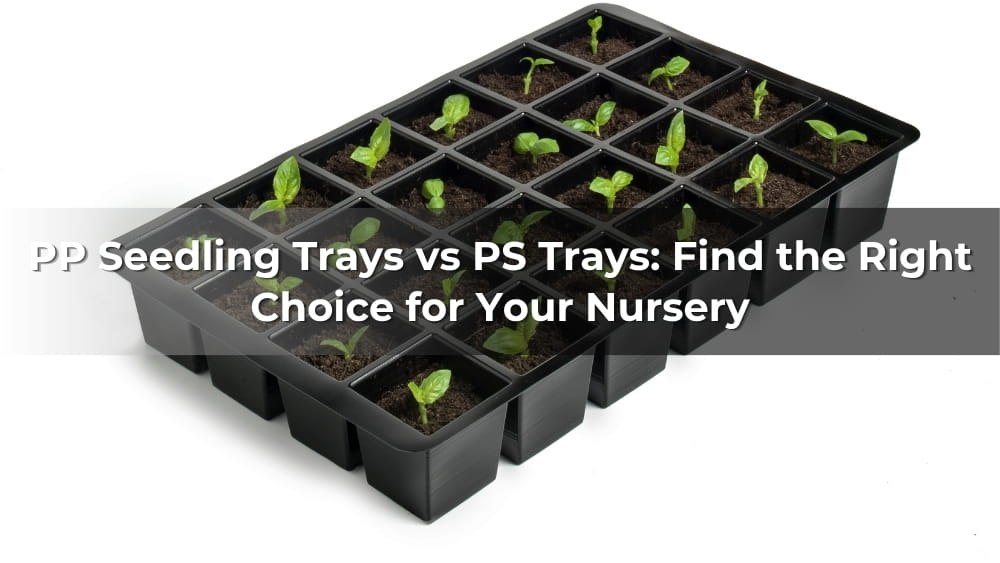PP Seedling Trays vs PS Trays: Find the Right Choice for Your Nursery