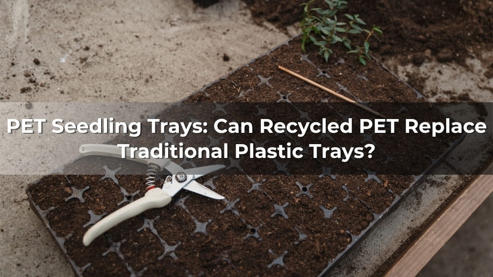 PET Seedling Trays: Can Recycled PET Replace Traditional Plastic Materials?