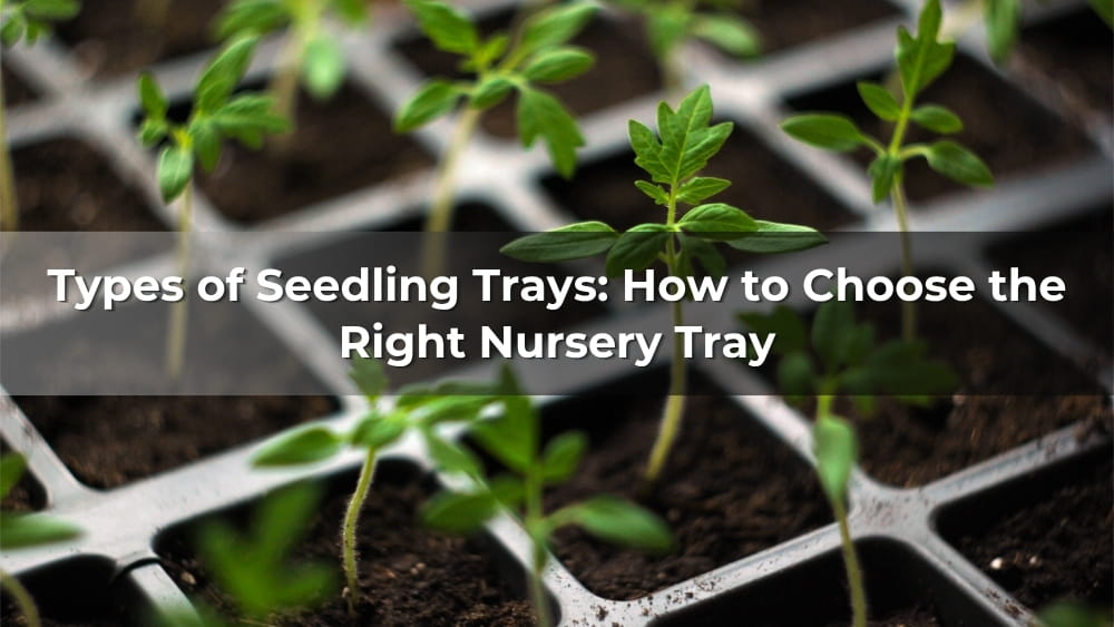 Types of Seedling Trays: How to Choose the Right Nursery Tray